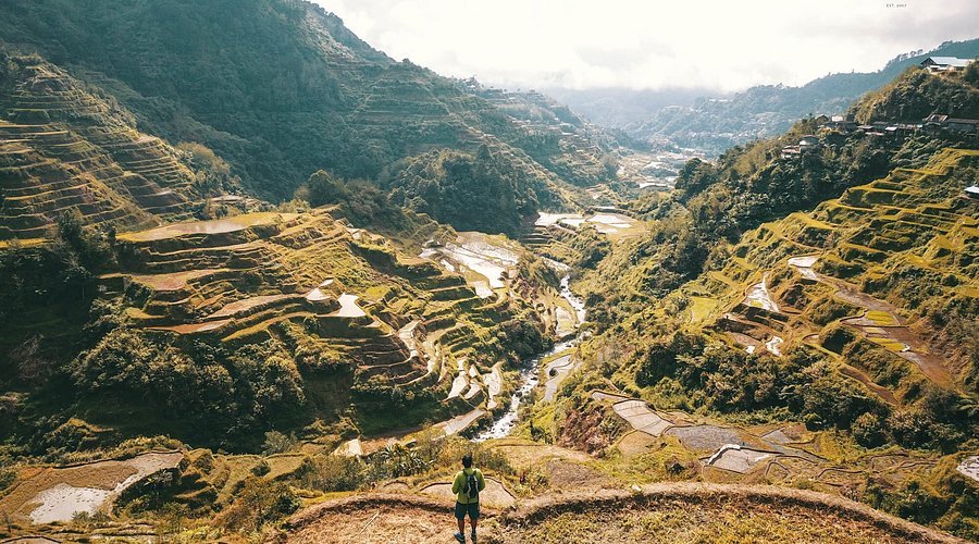 🏛️ 반센소(구 마쓰이 가 주택) 이미지 8
